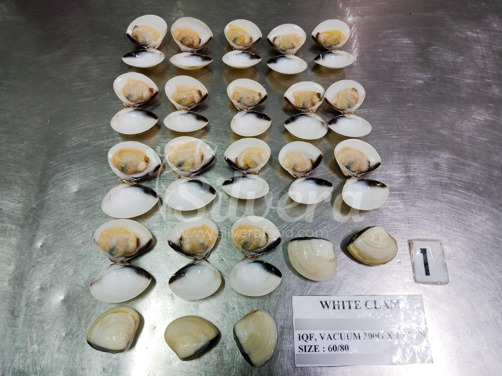 Defrosted cooked whole white clams 