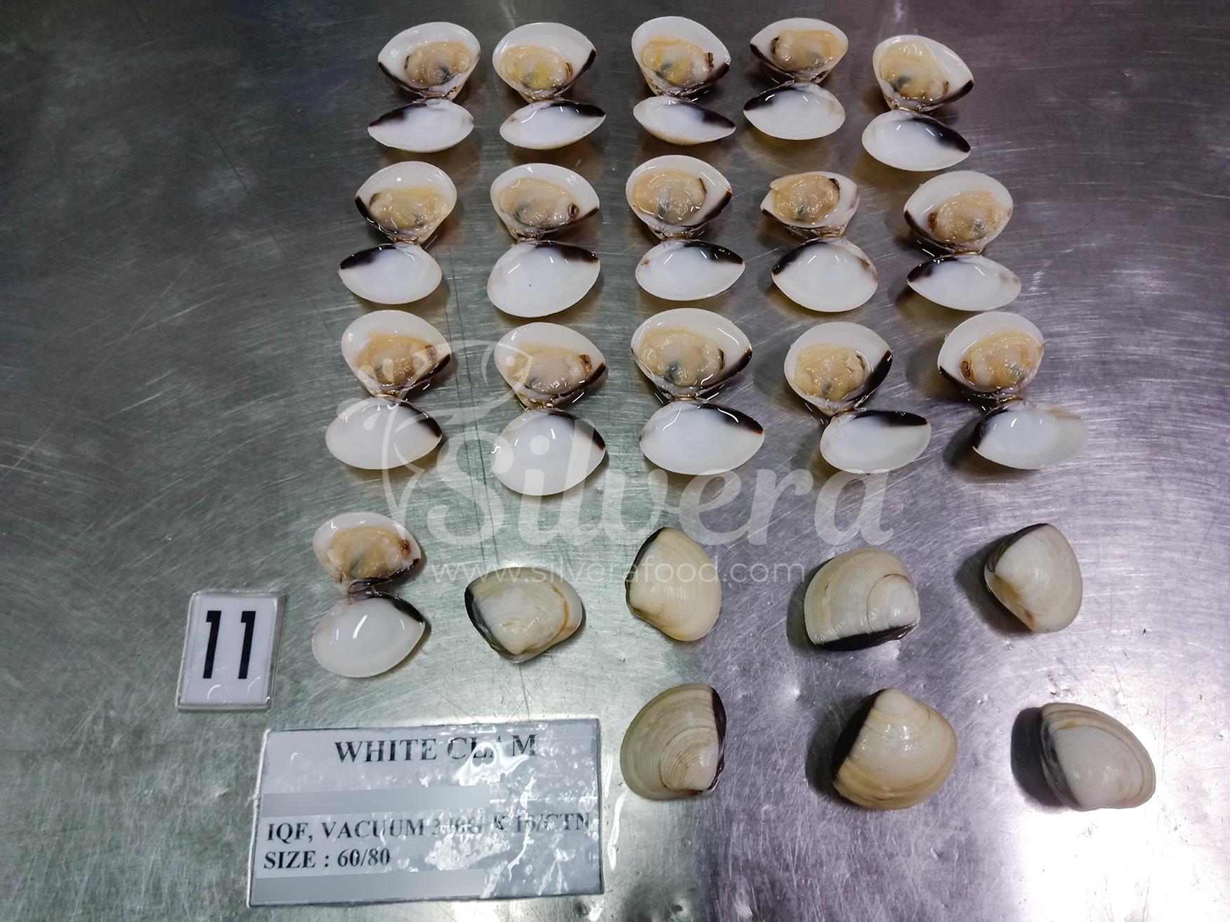 Defrosted cooked whole white clams 