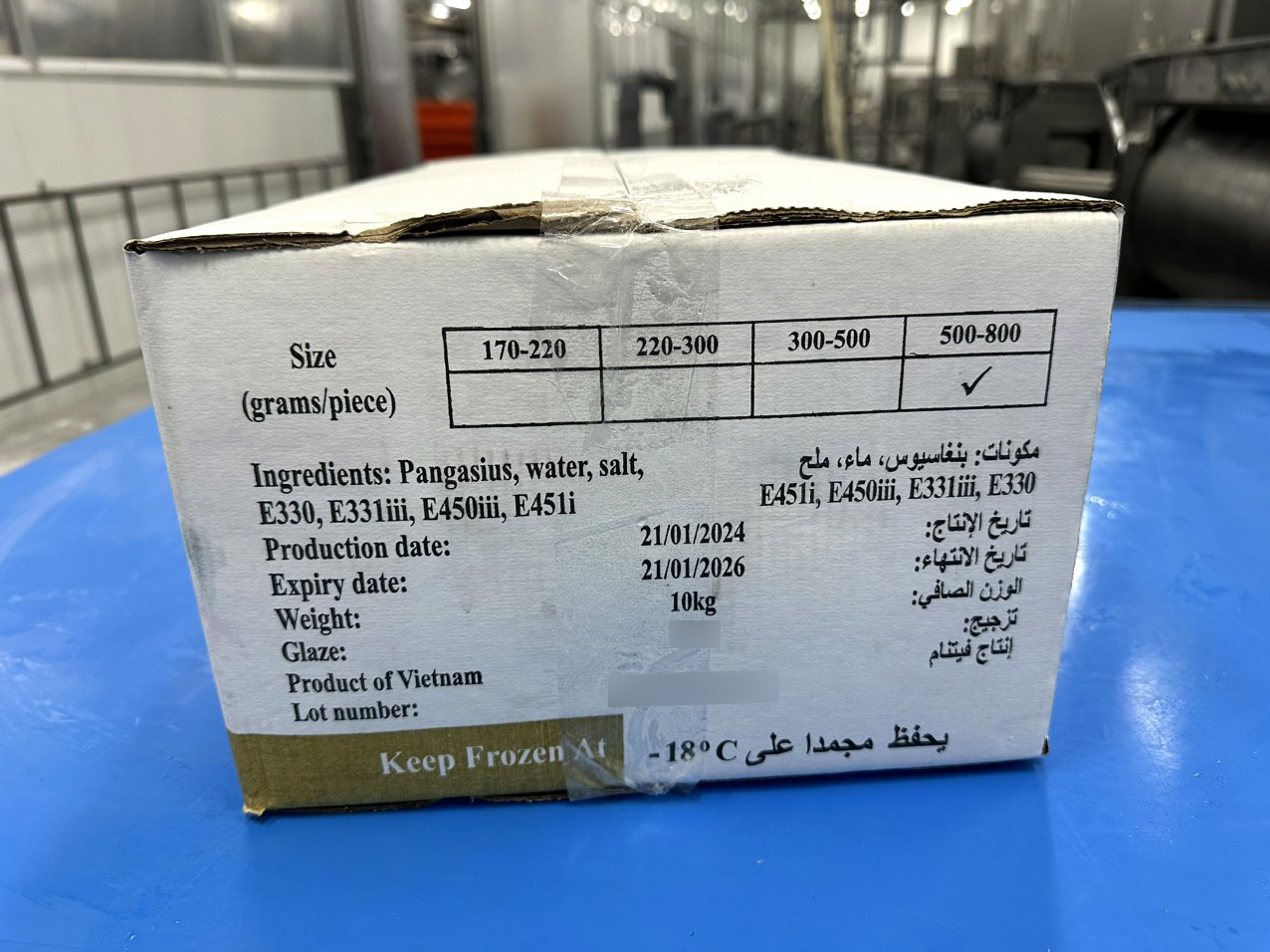 Master carton - premium-grade pangasius fillets
