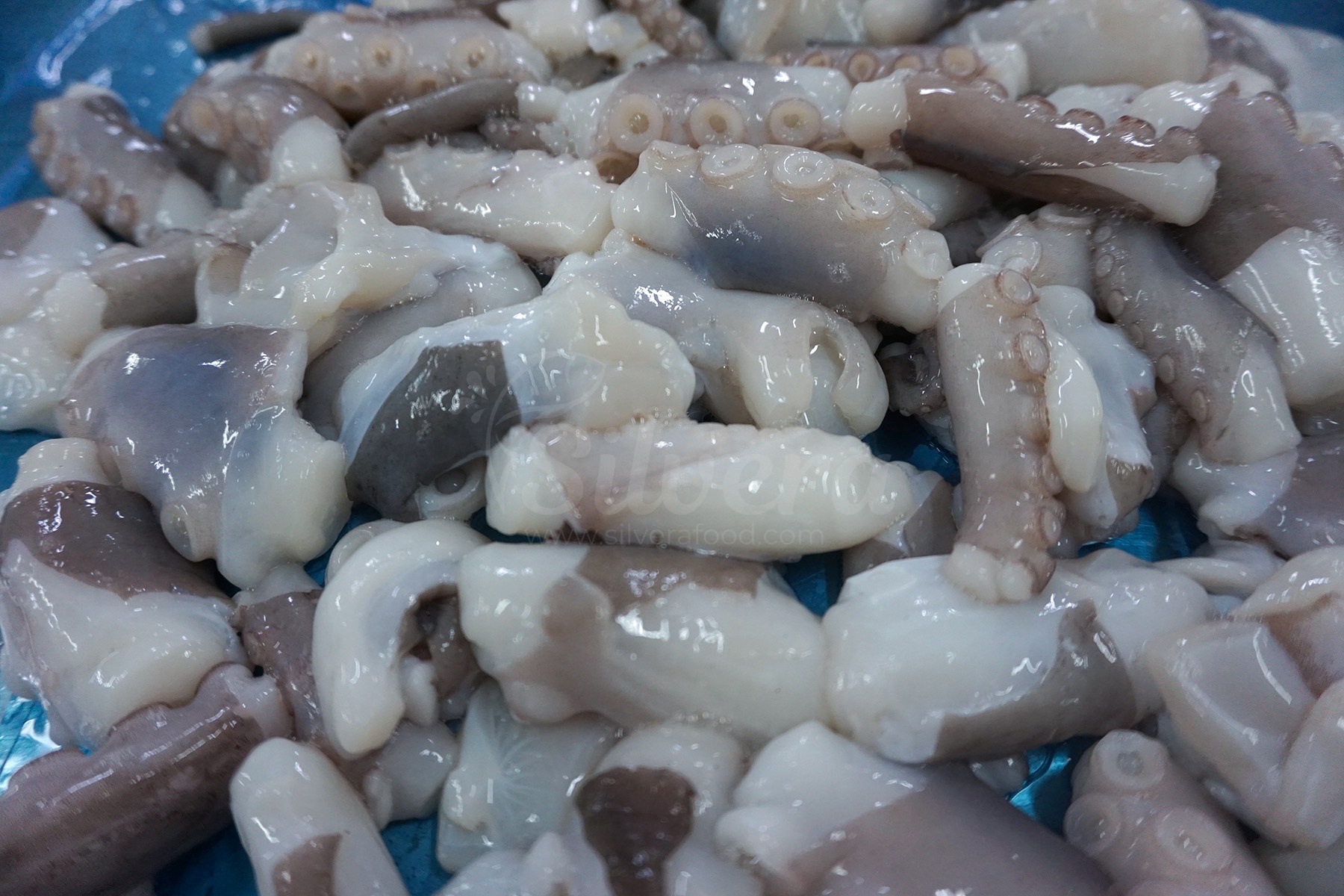 Defrosted cut poulp squid 