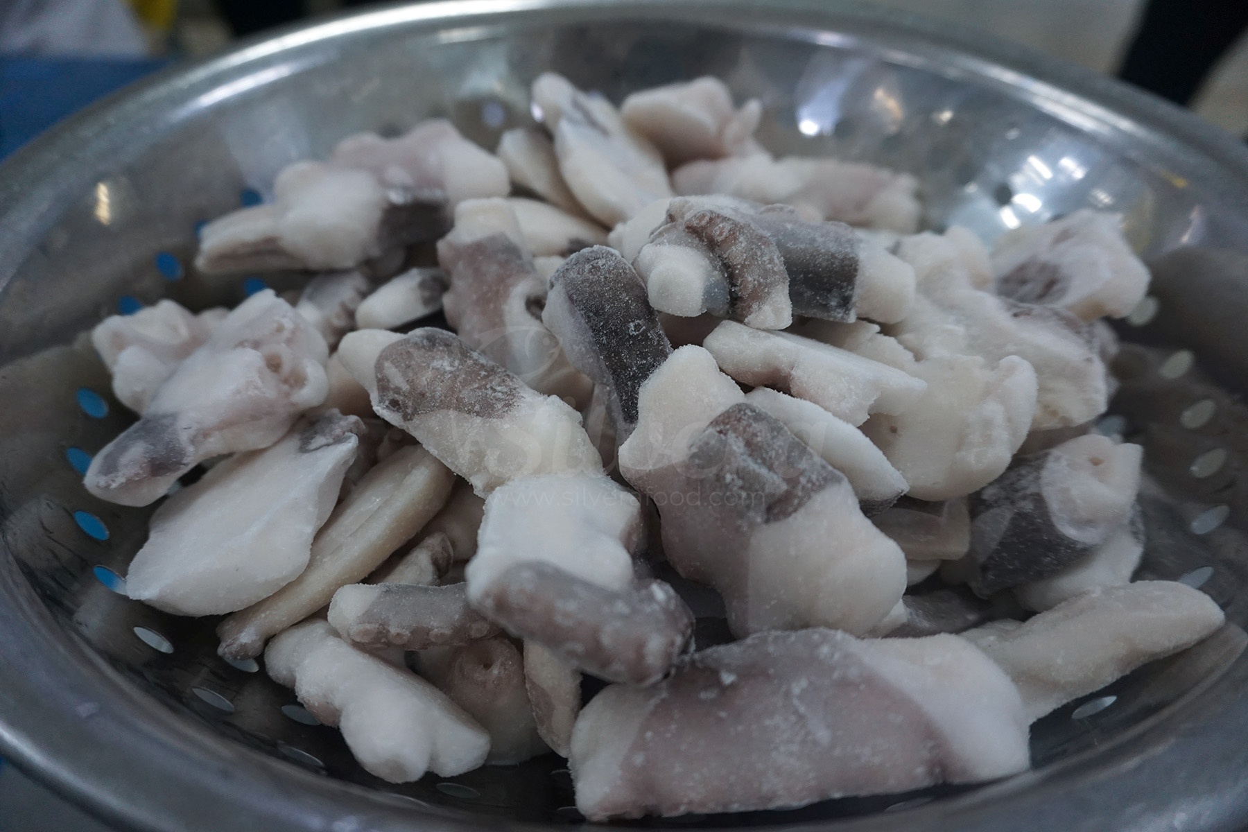 Frozen cut poulp squid