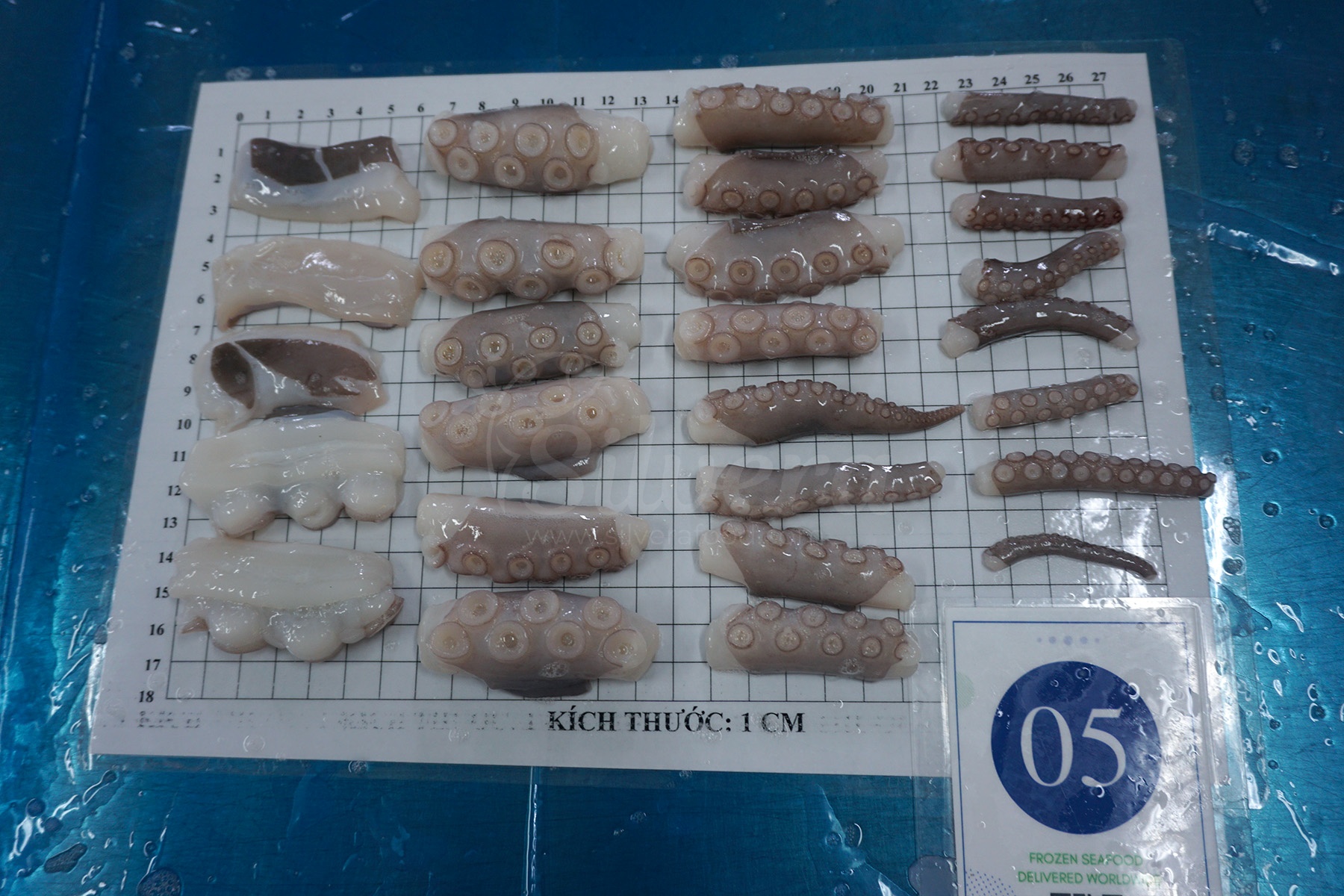 Length of cut poulp squid 