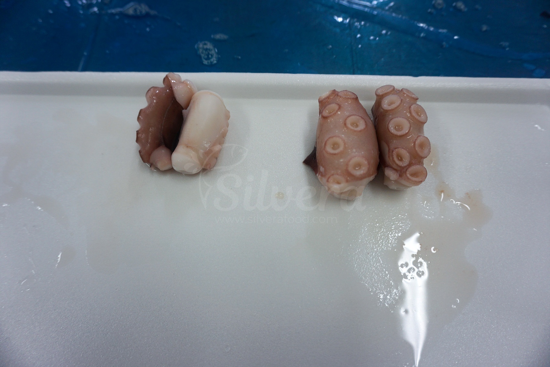 Color of cooked cut poulp squid
