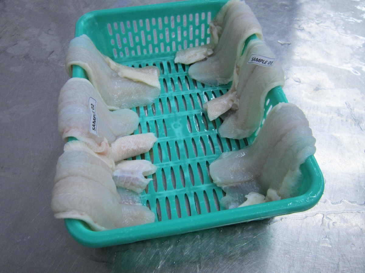 Thawing Random Samples For Net Weight Checking Thawing Random Samples For Net Weight Checking