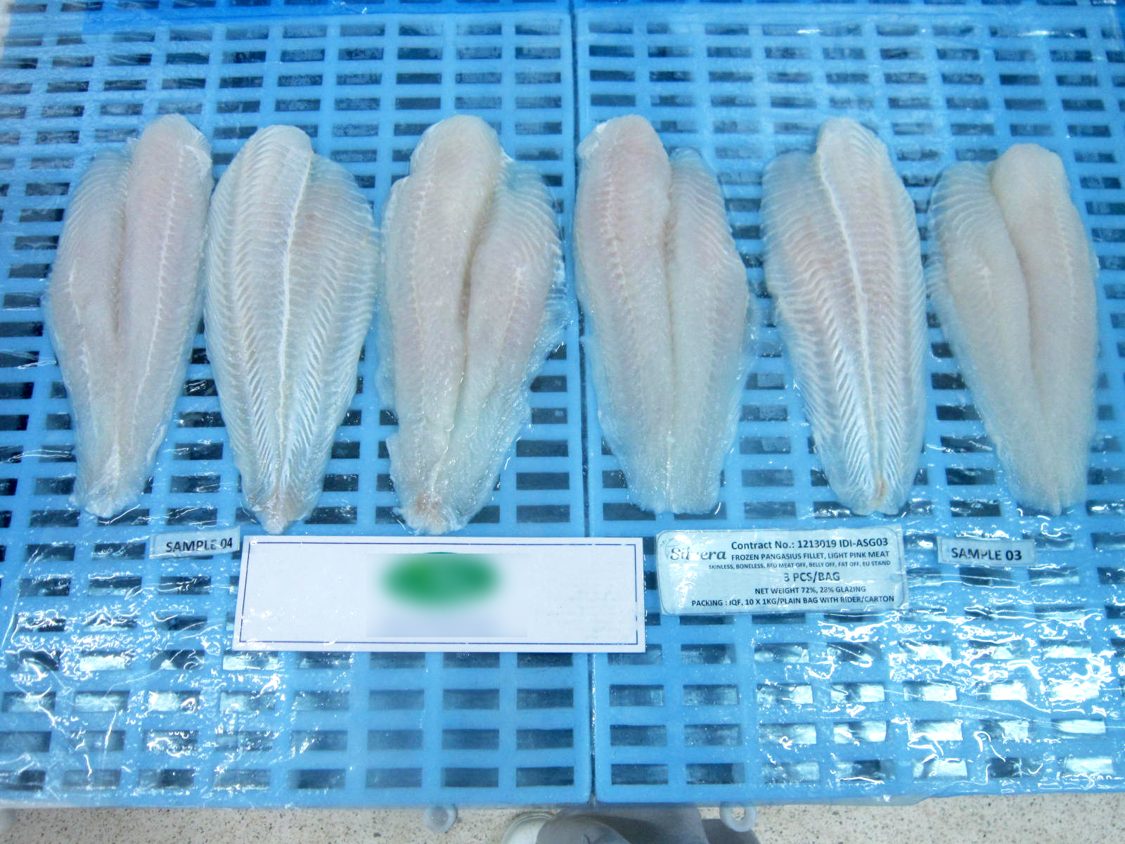 Checking Texture Of Defrosted Pangasius Fillets