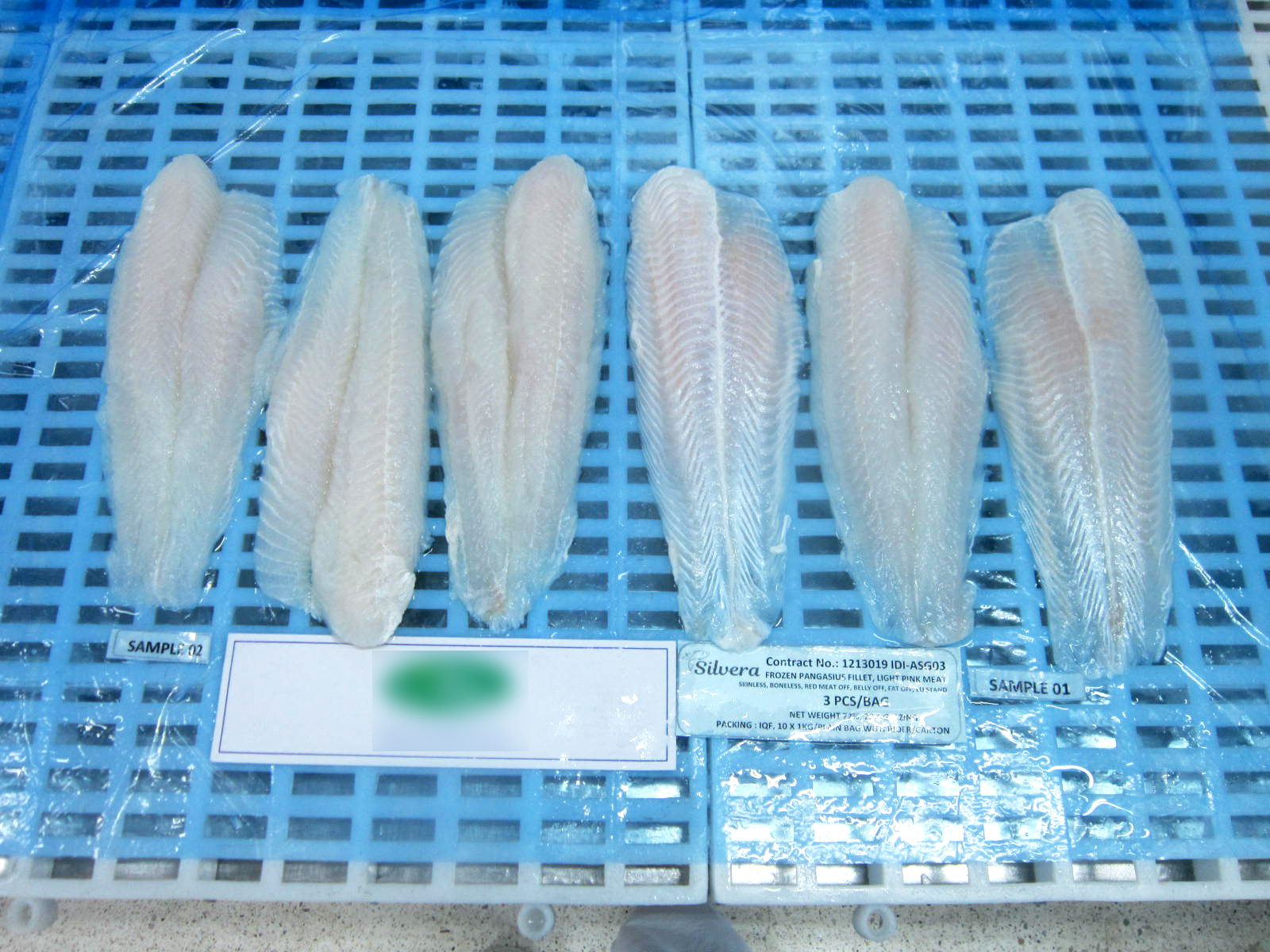 Checking Texture Of Defrosted Pangasius Fillets Checking Texture Of Defrosted Pangasius Fillets