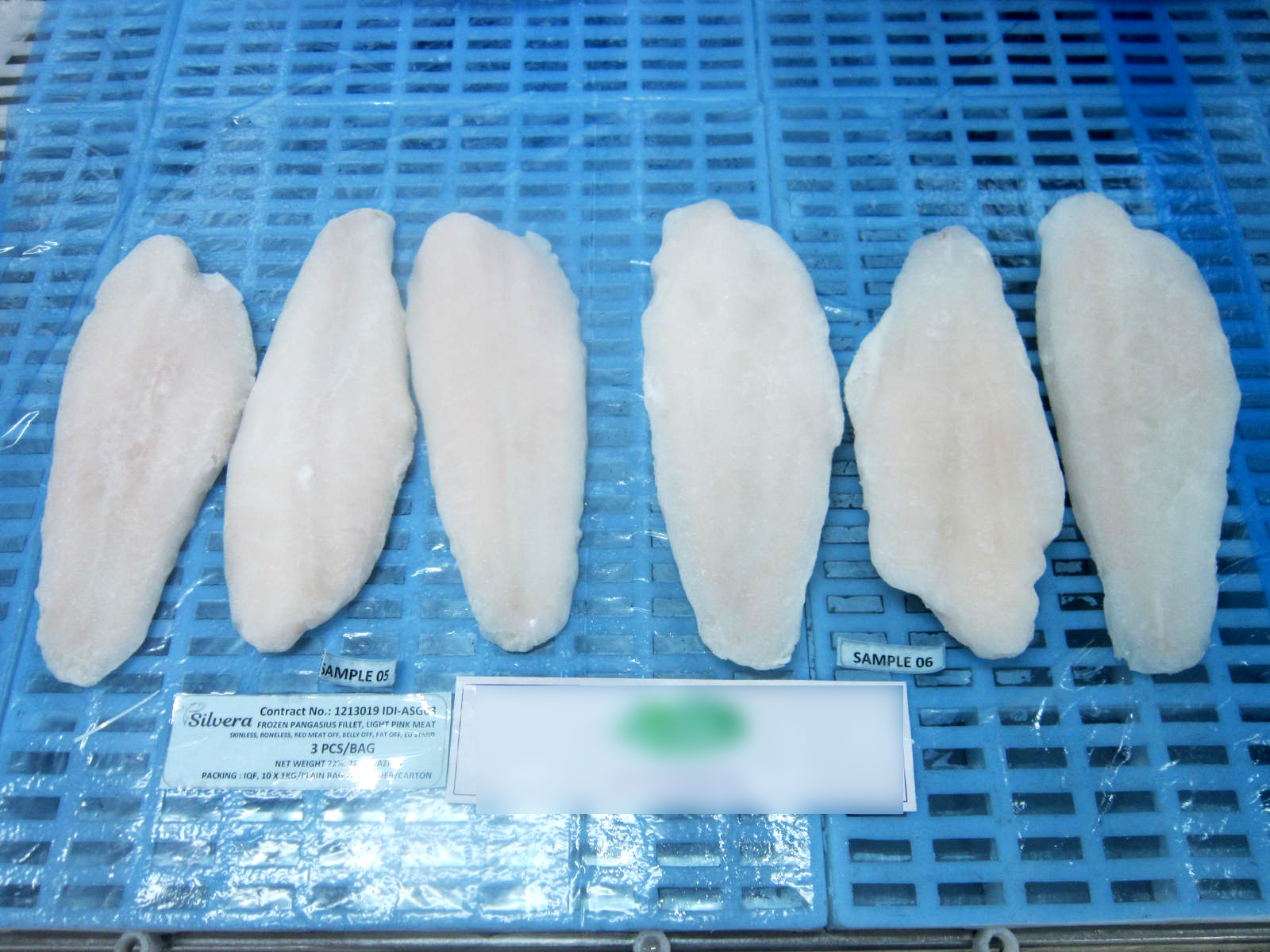 Frozen Pangasius Fillets Removed From Plastic Bags