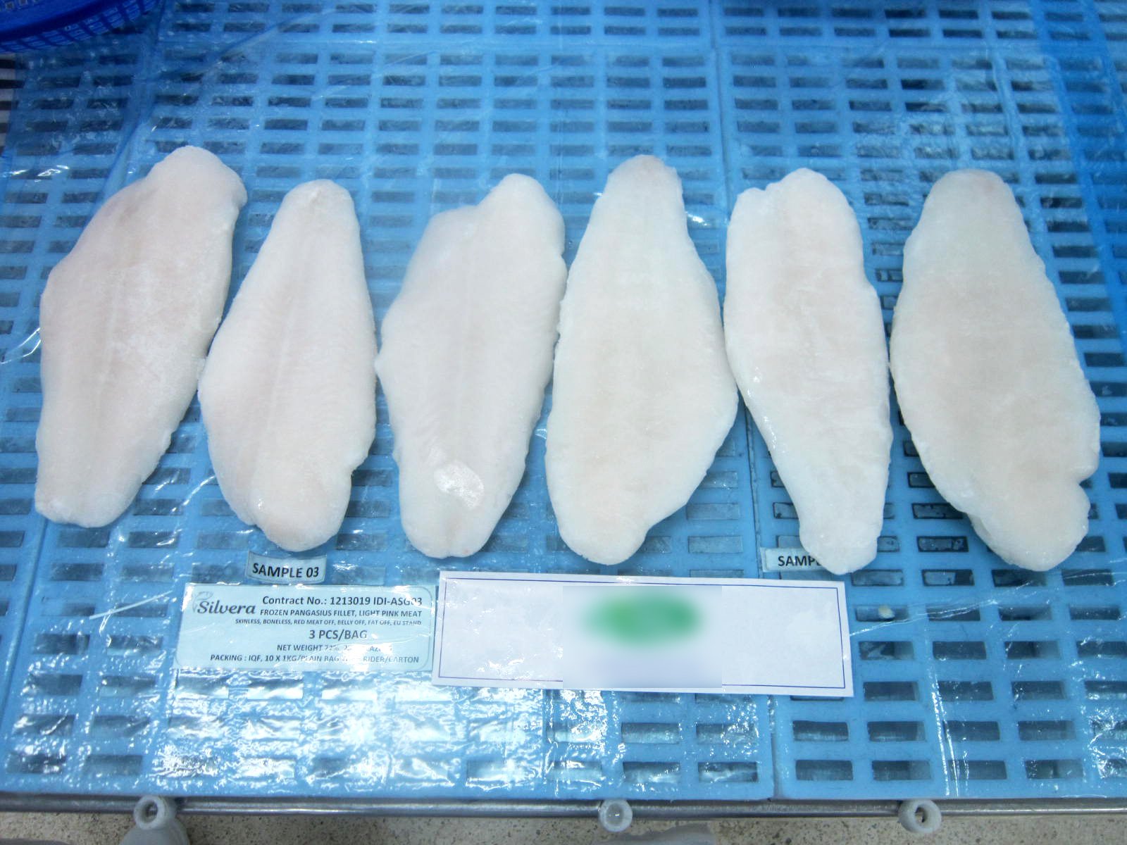 Frozen Pangasius Fillets Removed From Plastic Bags