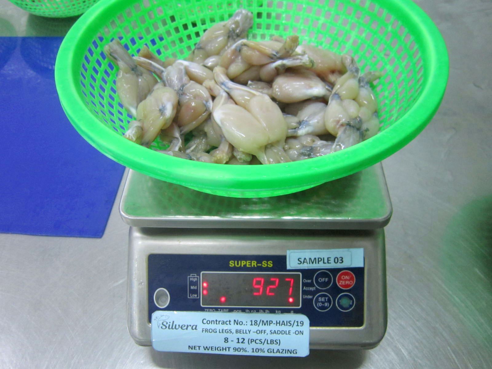 Checking Net Weight Of Thawed Frog Legs Checking Net Weight Of Thawed Frog Legs