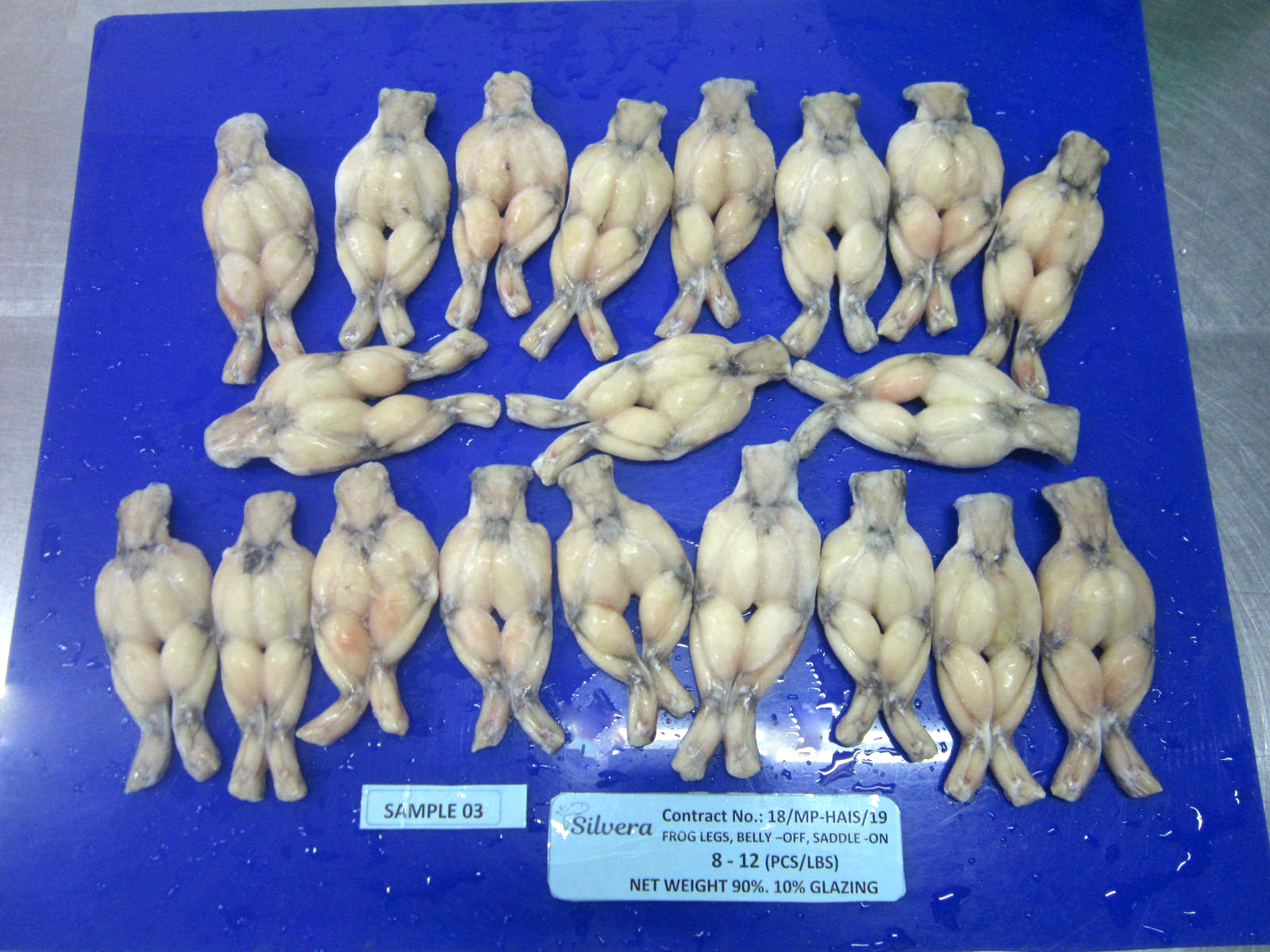Checking Shape And Color Of Frozen Frog Legs Checking Shape And Color Of Frozen Frog Legs