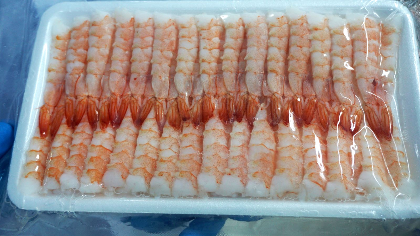 Sushi Ebi Vannamei Shrimp. Credit: Silvera Food