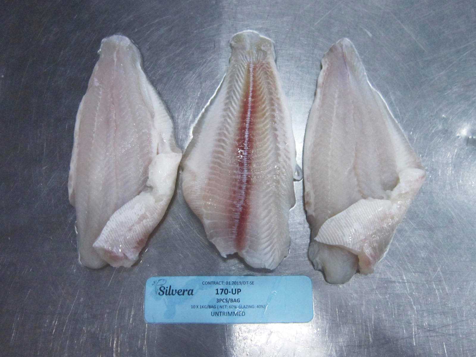 Checking Texture Of Defrosted Pangasius Untrimmed Fillets