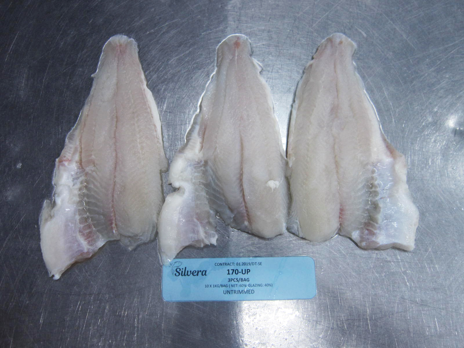 Checking Texture Of Defrosted Pangasius Untrimmed Fillets Checking Texture Of Defrosted Pangasius Untrimmed Fillets
