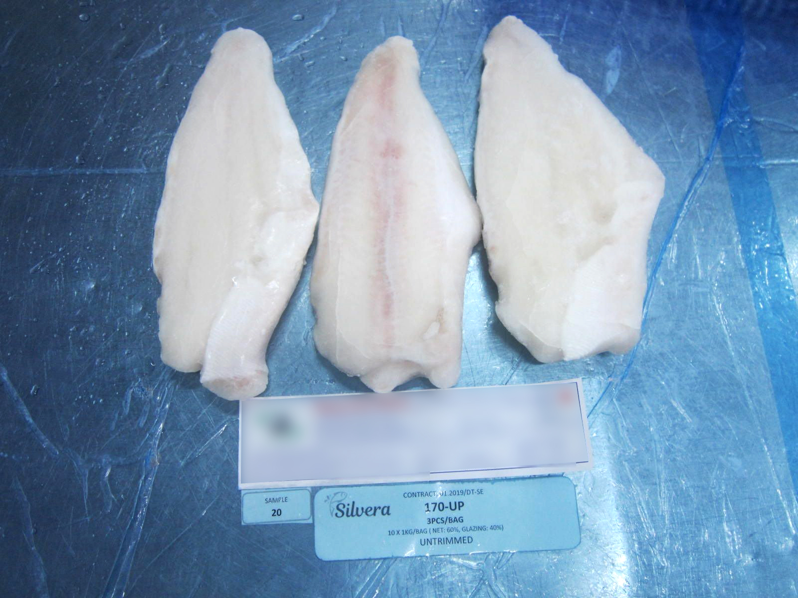 Frozen Pangasius Untrimmed Fillets