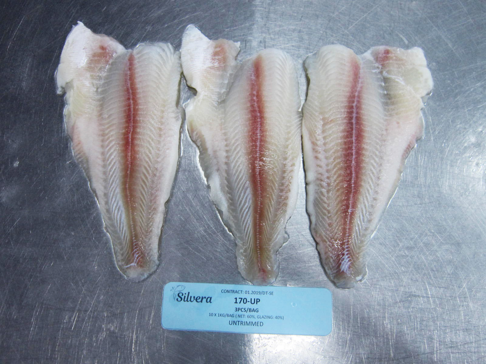 Checking Texture Of Defrosted Pangasius Untrimmed Fillets