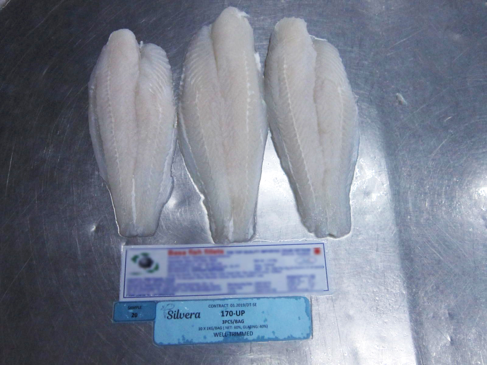 Checking Texture Of Defrosted Pangasius Well-Trimmed Fillets Checking Texture Of Defrosted Pangasius Well-Trimmed Fillets