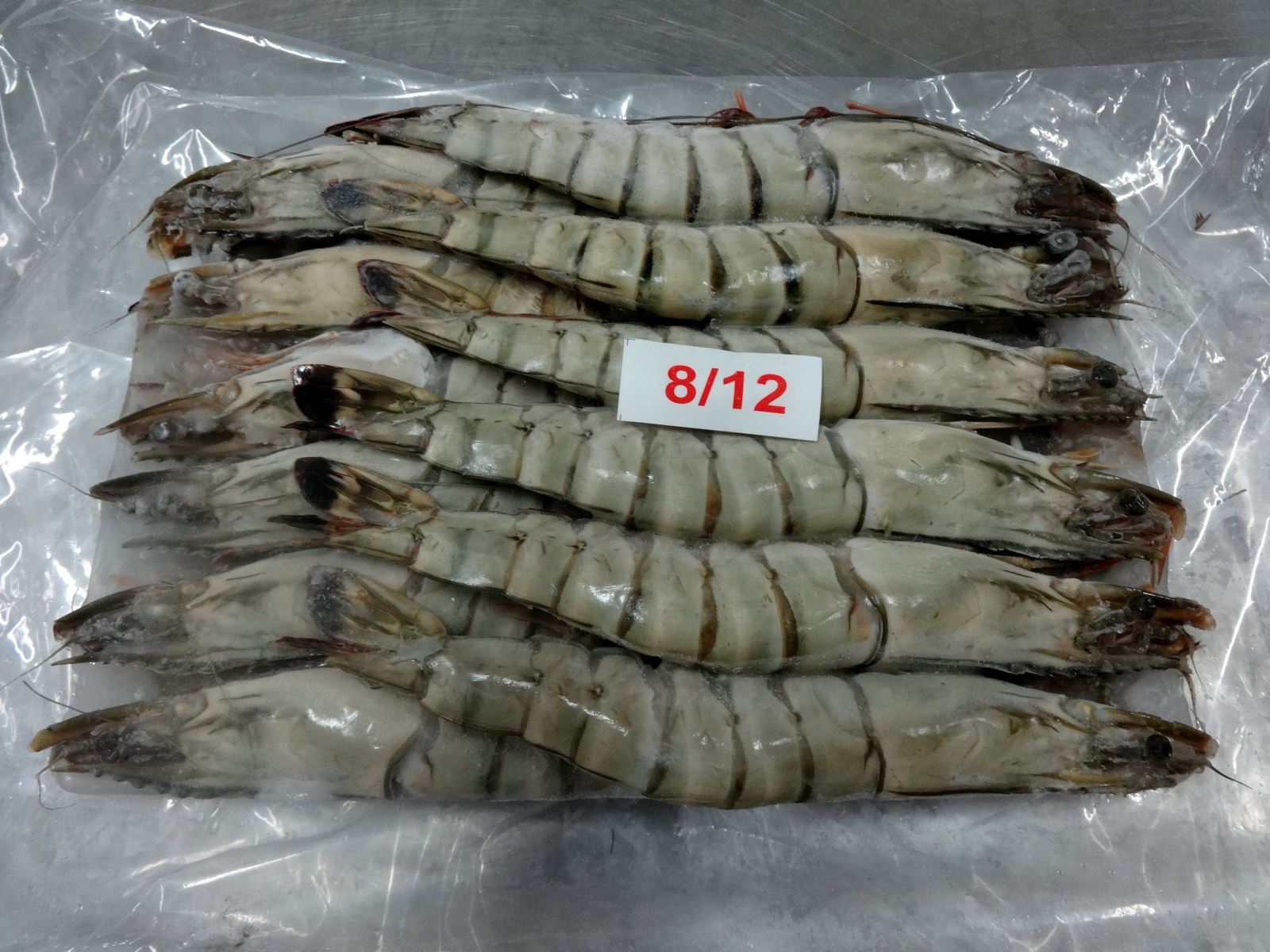 Black Tiger Shrimp HOSO (Head On Shell On)