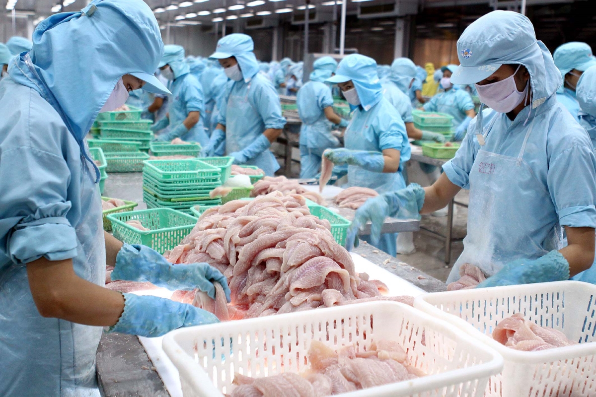 Pangasius exports in the first 4 months of 2020 decreased to 29.3% due to a drop in demand in the Chinese market